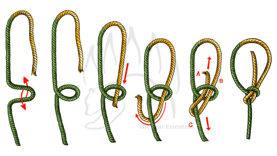 How to Tie The Bowline Knot - The Bear Essentials Outdoors Co.