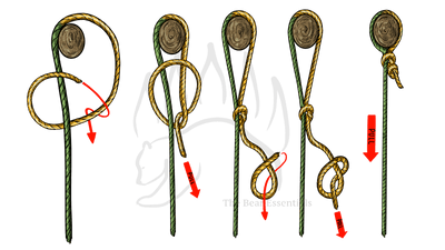 knot sample image