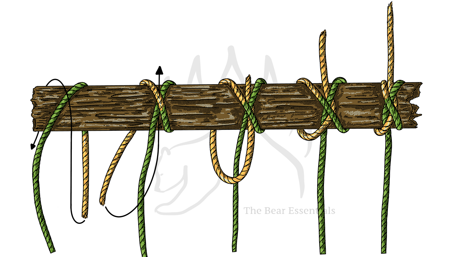 How to Tie the Constrictor Knot - The Bear Essentials Outdoors Co.