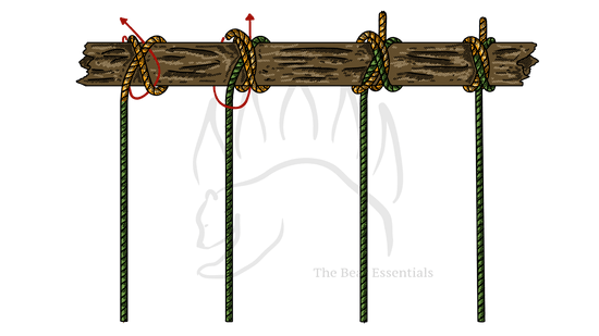 How to Tie the Double Constrictor Knot - The Bear Essentials Outdoors Co.