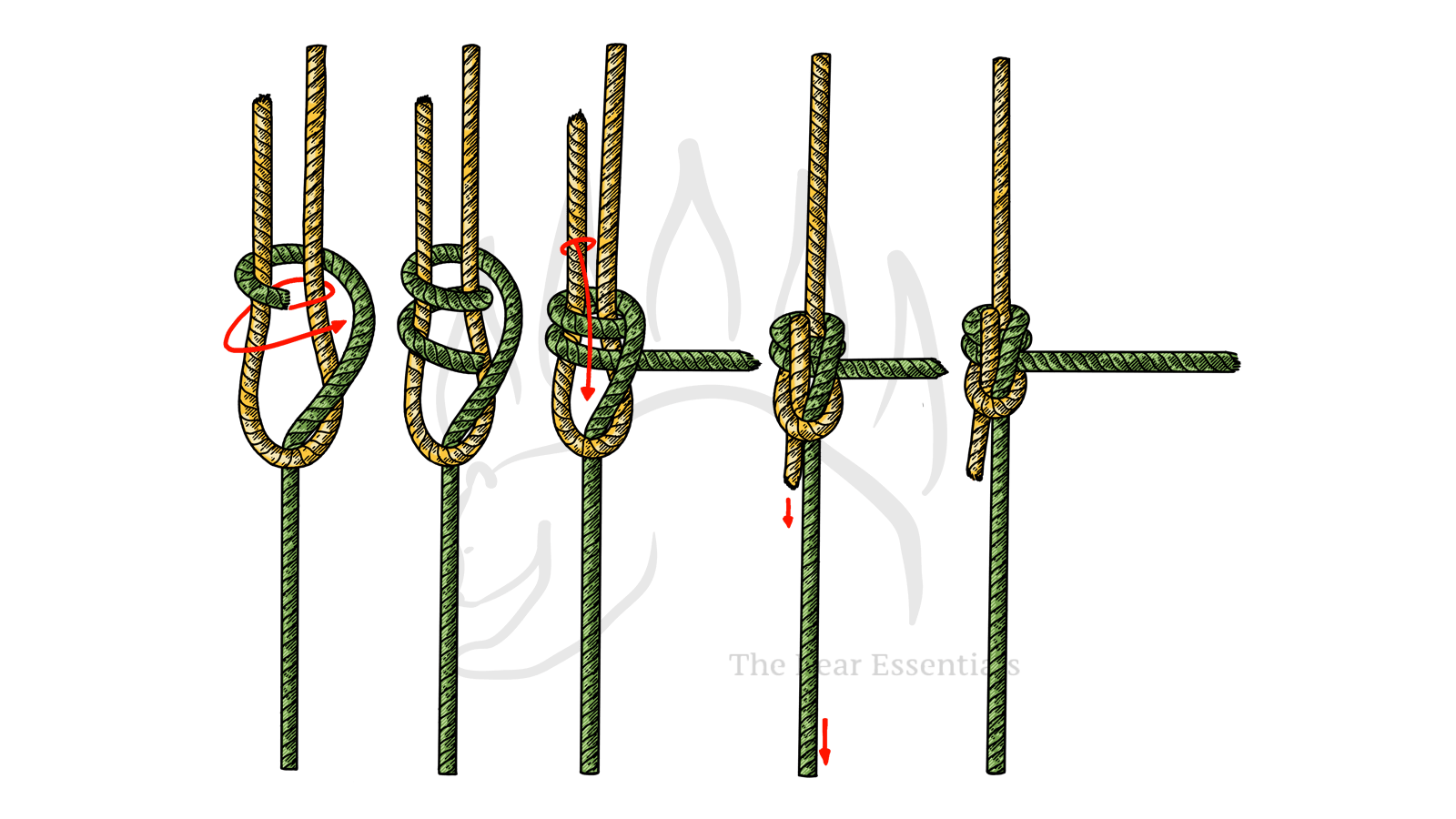 How to Tie the Double Dragon Bend - The Bear Essentials Outdoors Co.