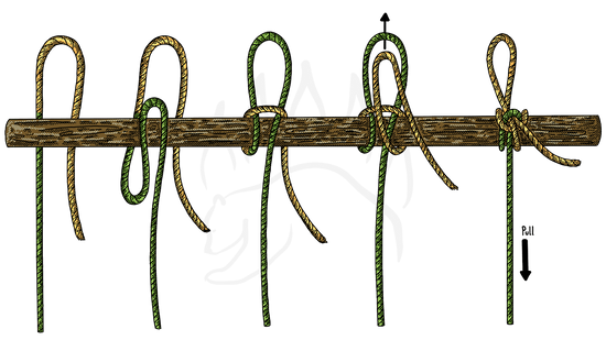 How To Tie the Highwayman’s Hitch - The Bear Essentials Outdoors Co.
