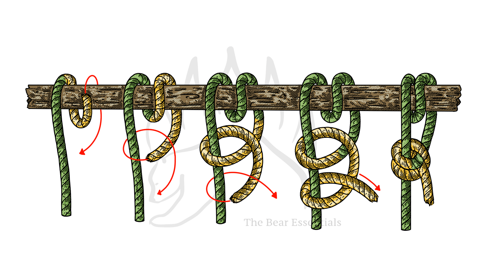 How to Tie the Round Turn and Two Half Hitches – The Bear Essentials ...