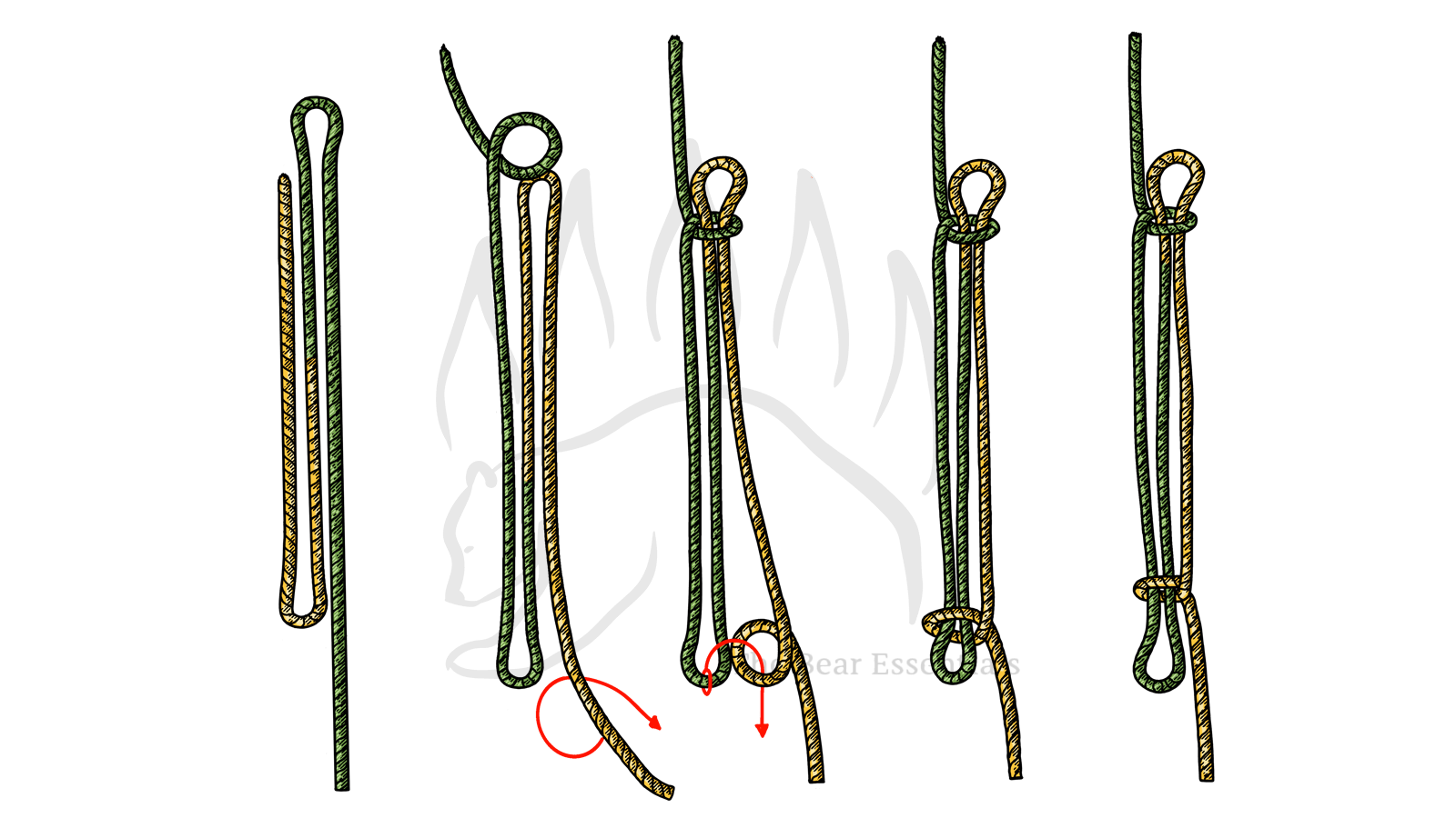 How to Tie the Sheepshank Knot - The Bear Essentials Outdoors Co.