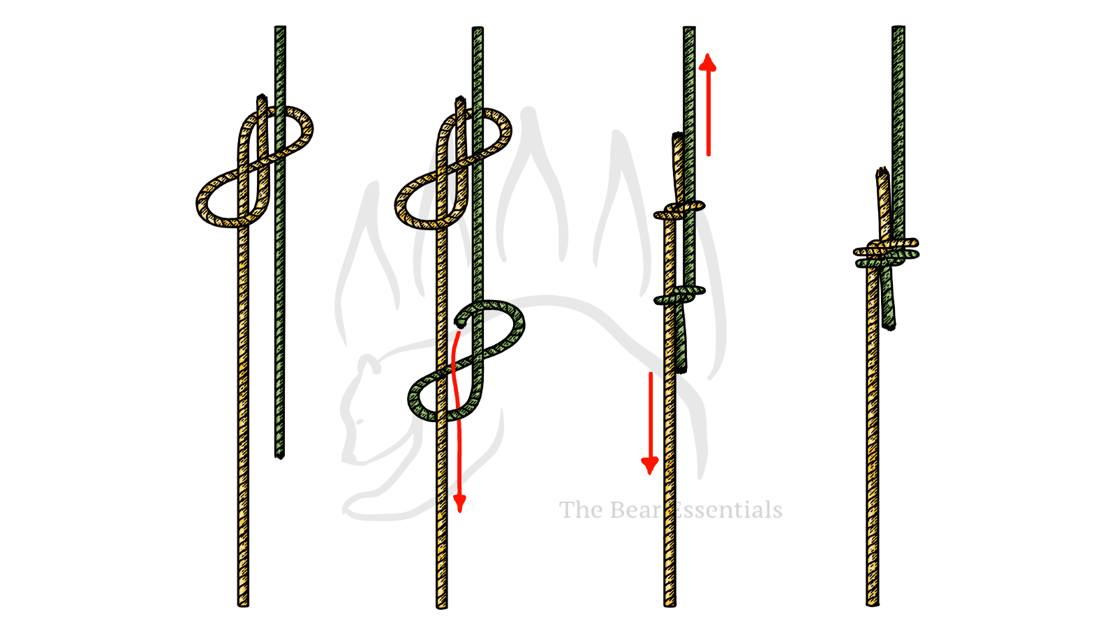 How to Tie the Sliding Figure Eight Bend - The Bear Essentials Outdoors Co.