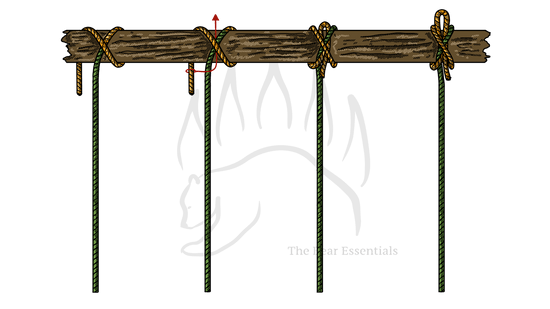 How to Tie the Slipped Constrictor Knot - The Bear Essentials Outdoors Co.