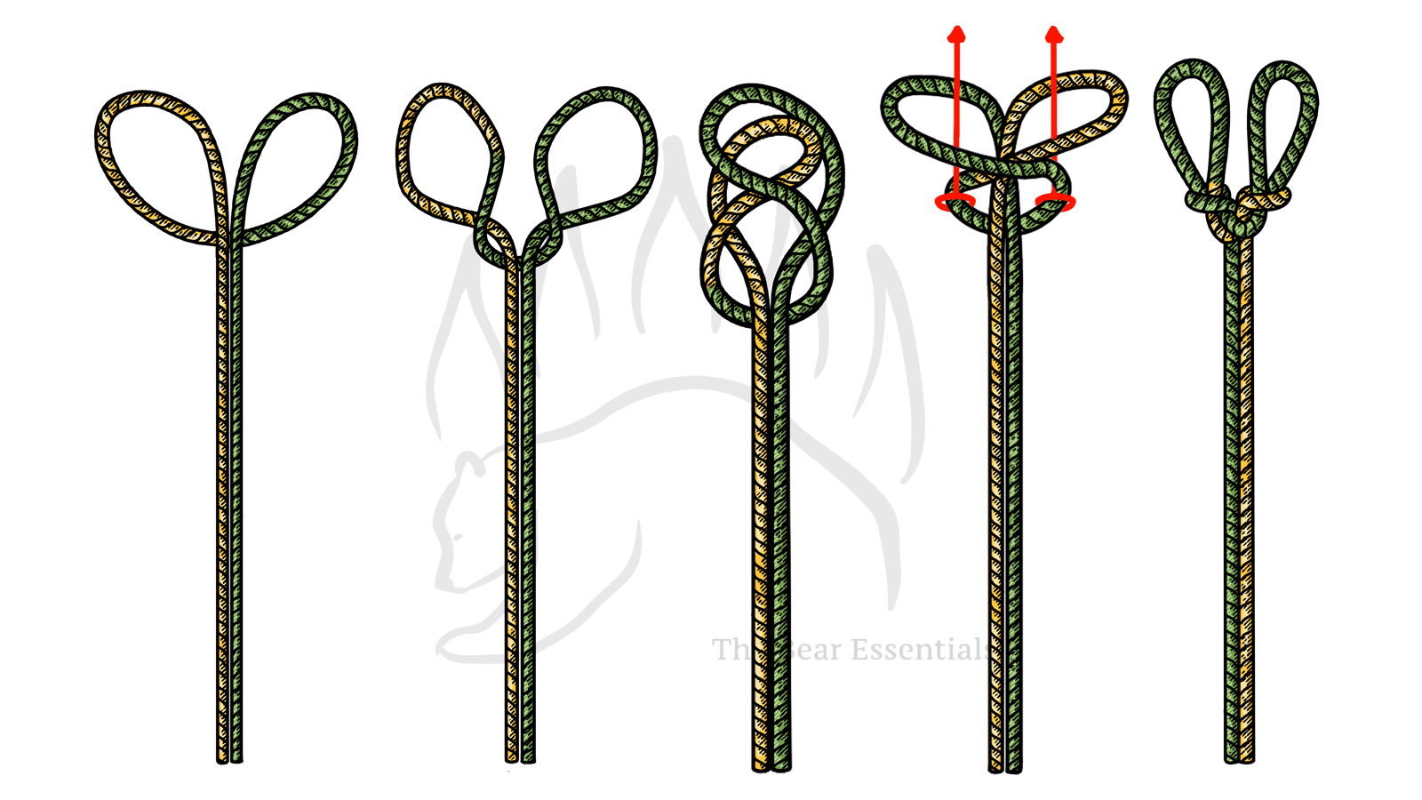 How to Tie the Spanish Bowline - The Bear Essentials Outdoors Co.