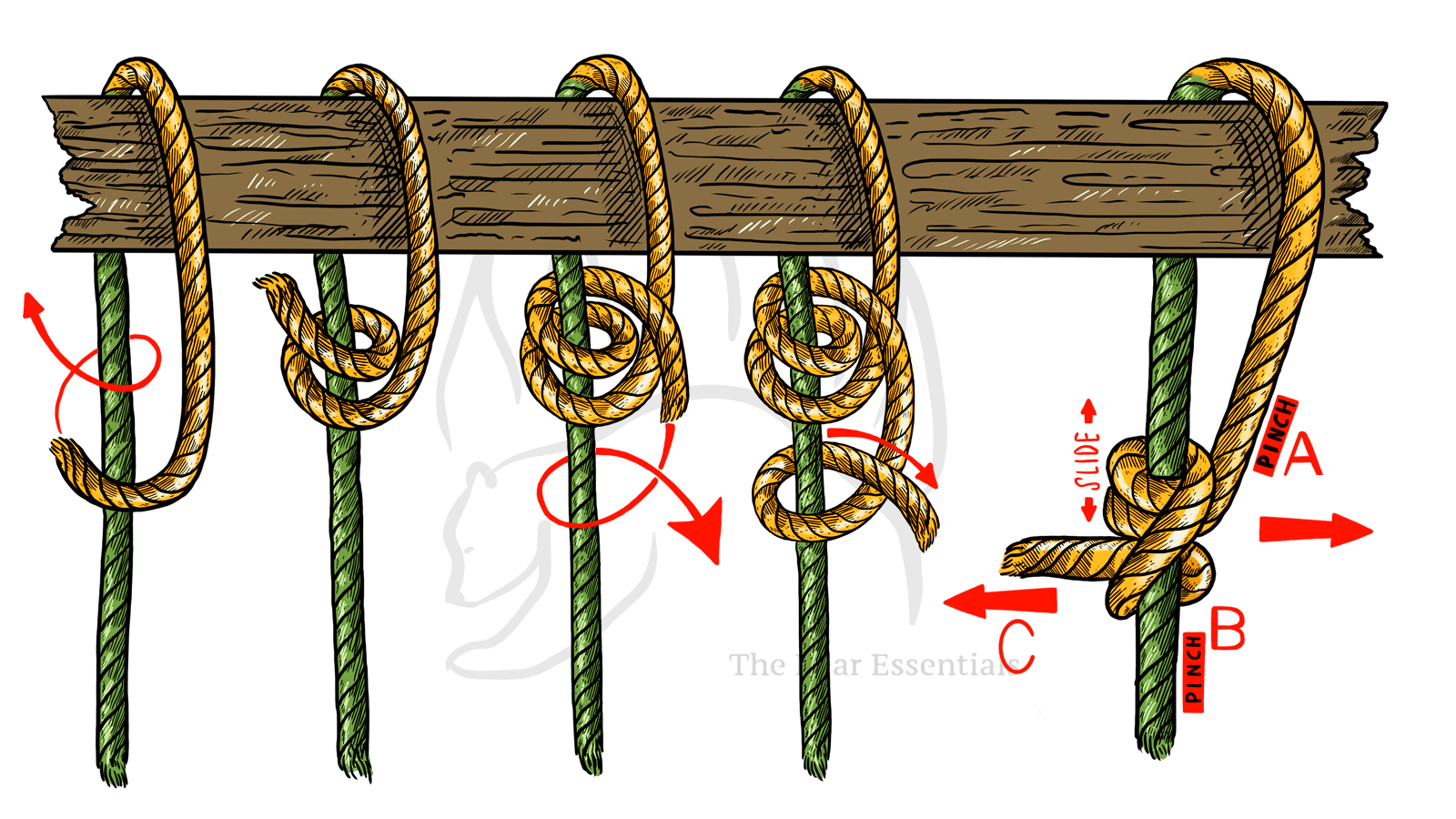 How To Tie The Taut Line Hitch - The Bear Essentials Outdoors Co.