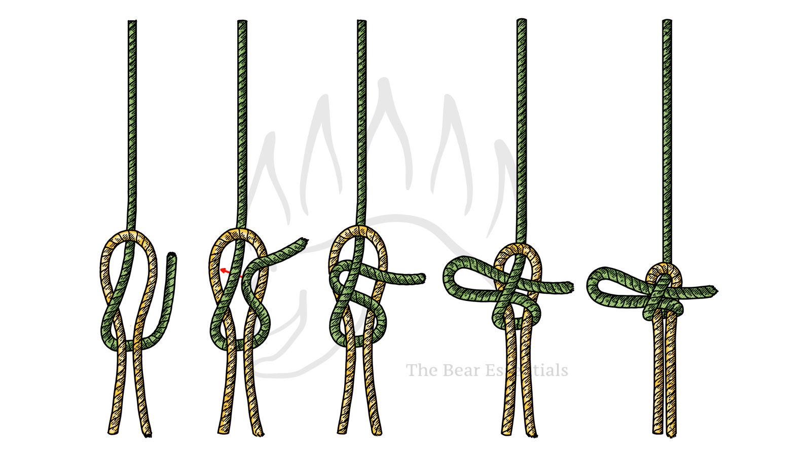 How to Tie the Tiller’s Hitch - The Bear Essentials Outdoors Co.