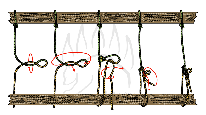 How to Tie the Trucker’s Hitch - Alpine Butterfly Variation - The Bear Essentials Outdoors Co.