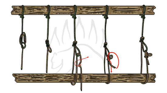 How to Tie the Trucker’s Hitch - Inline Figure Eight Variation - The Bear Essentials Outdoors Co.