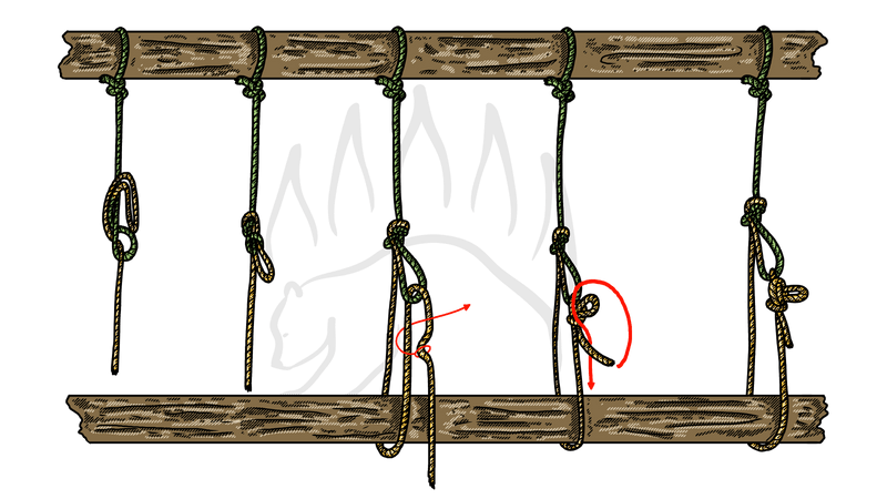 How to Tie the Trucker’s Hitch - Inline Figure Eight Variation - The Bear Essentials Outdoors Co.