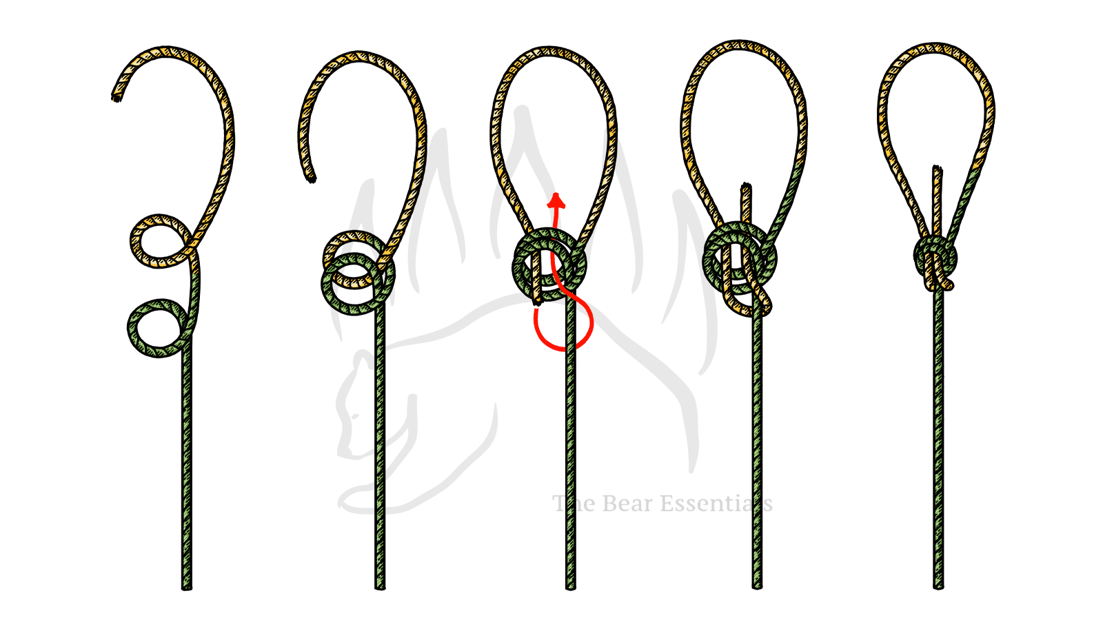 How to Tie the Water Bowline - The Bear Essentials Outdoors Co.