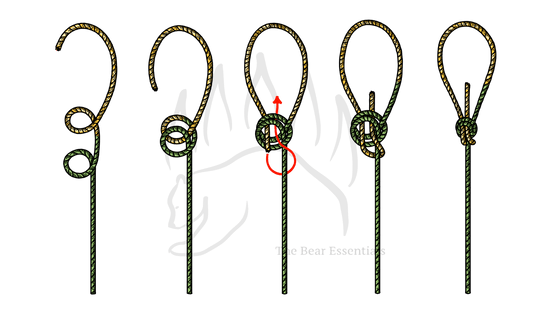 How to Tie the Water Bowline - The Bear Essentials Outdoors Co.
