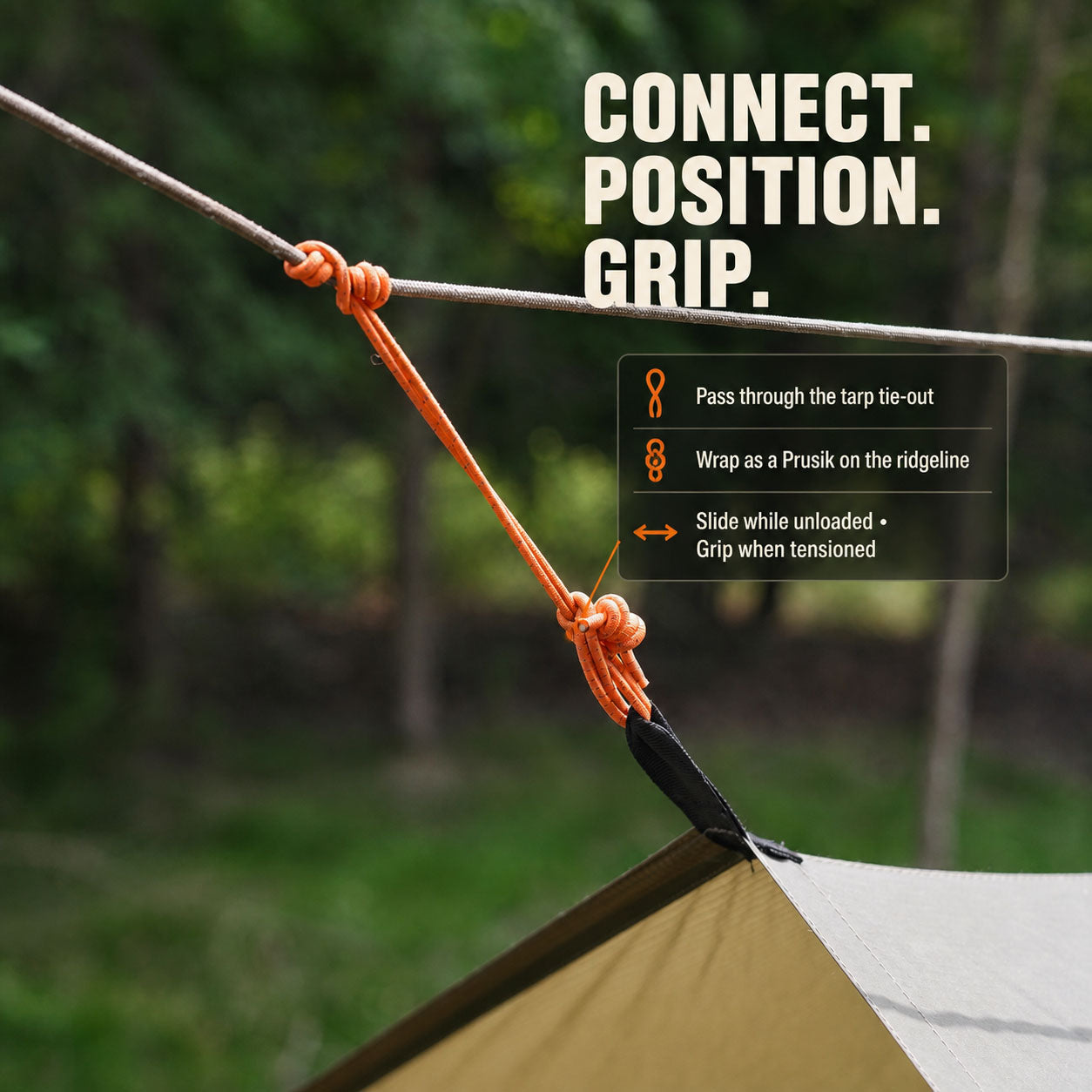 Tarp tie-out attached to a bungee Prusik loop on the main ridgeline