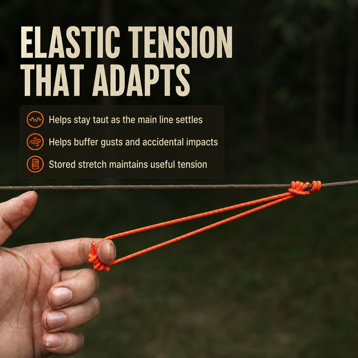 Bungee Prusik loop maintaining elastic tension on a tarp ridgeline