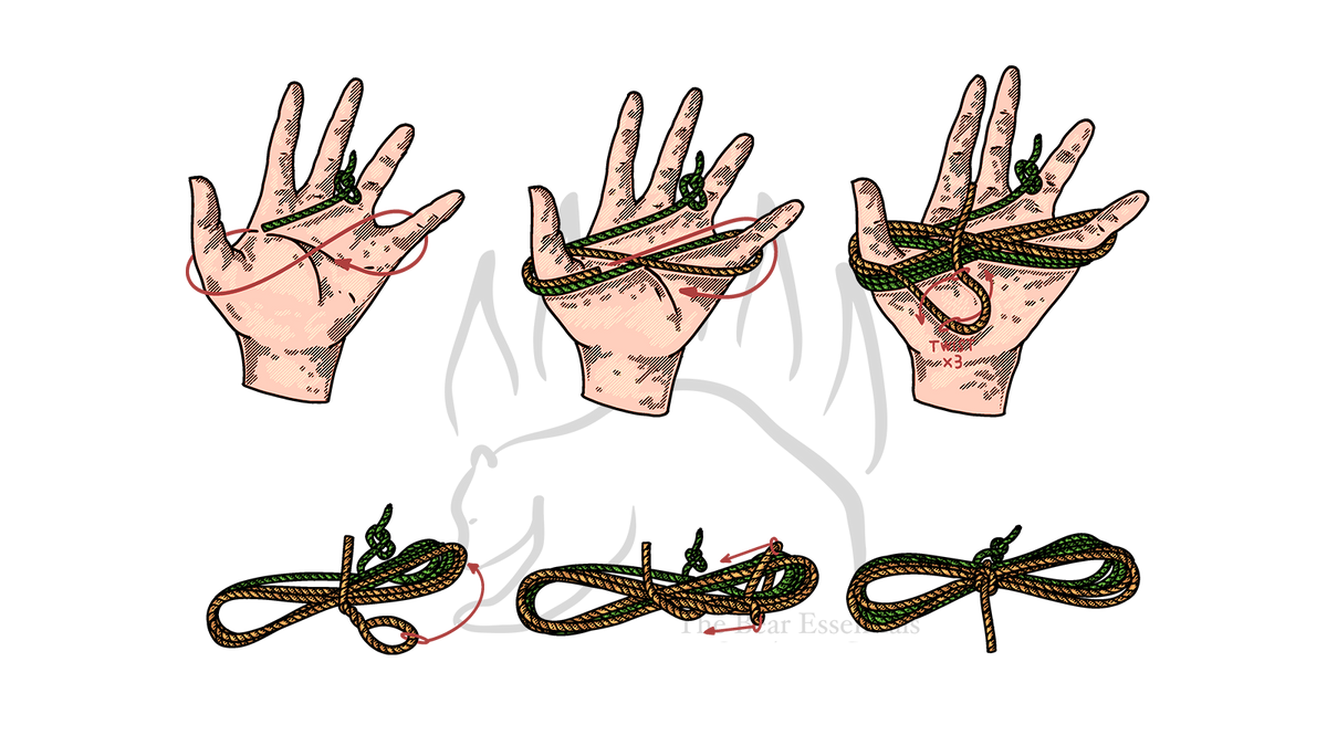 Step-by-step diagram showing how to tie the Butterfly Hank (With Button), with each stage numbered.