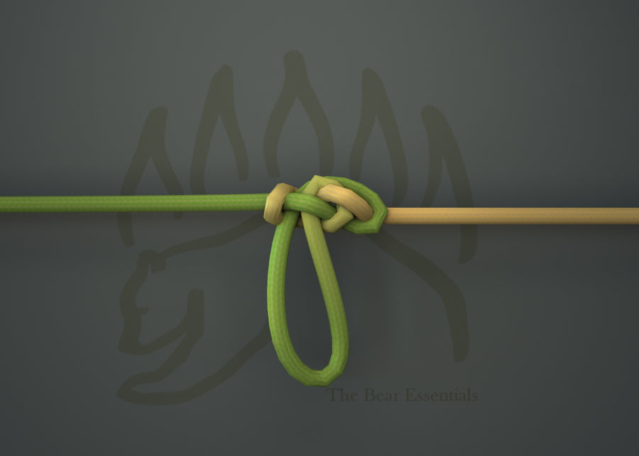 How to Tie the Bight Loop in 3D