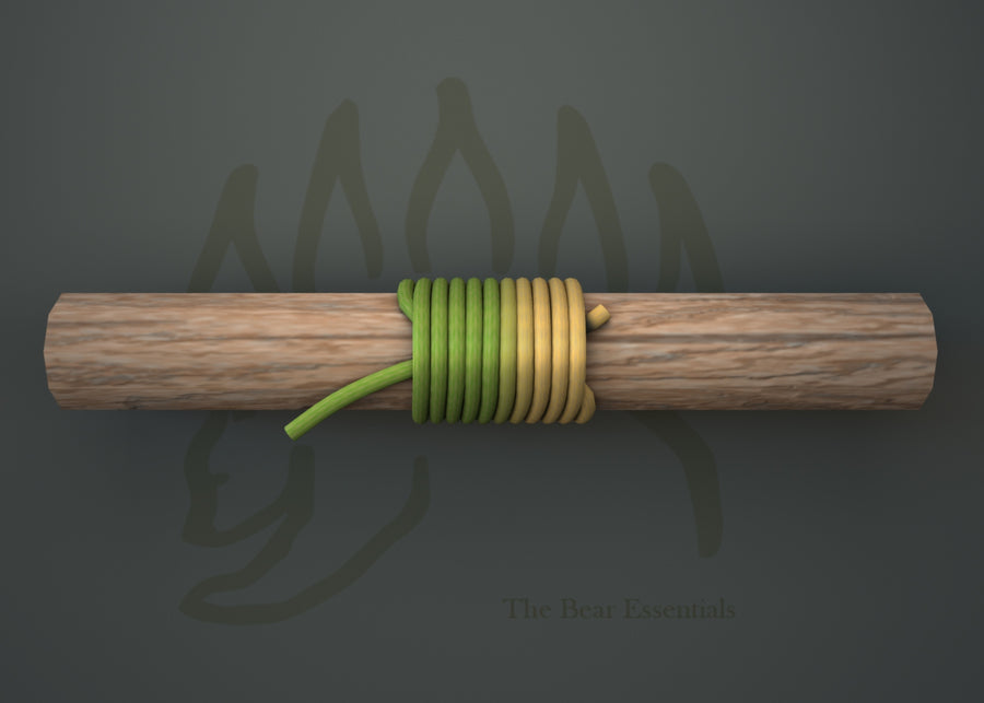How to Tie the Common Whipping in 3D