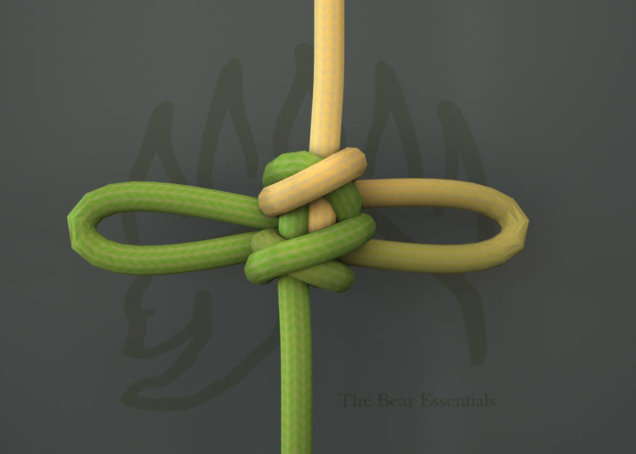 How to Tie the Double Alpine Butterfly Loop in 3D