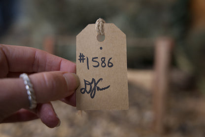 Bucksaw # 1586