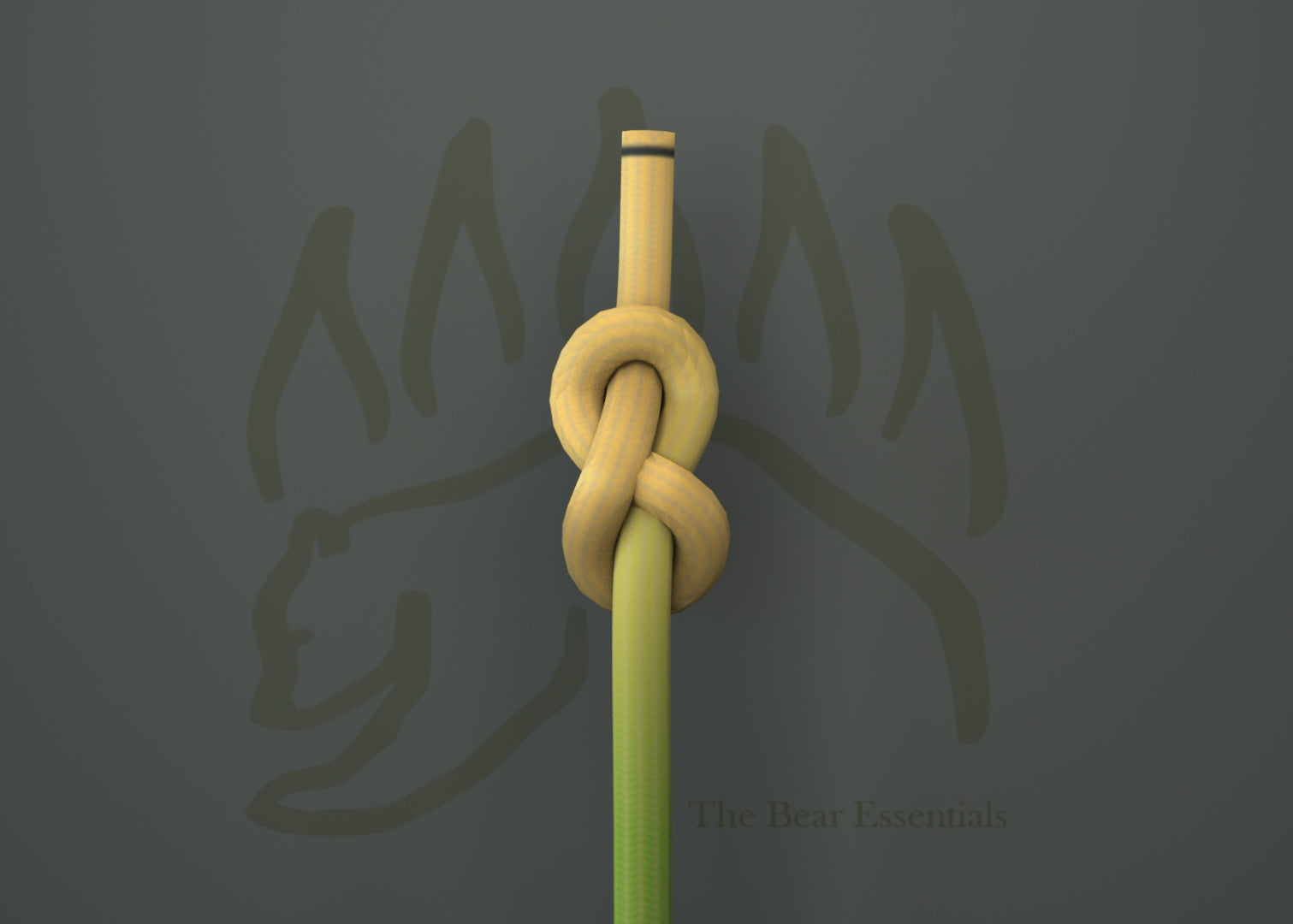 How to Tie the Figure Eight Bend – The Bear Essentials Outdoors Co.