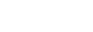 The Bear Essentials Outdoors Co.