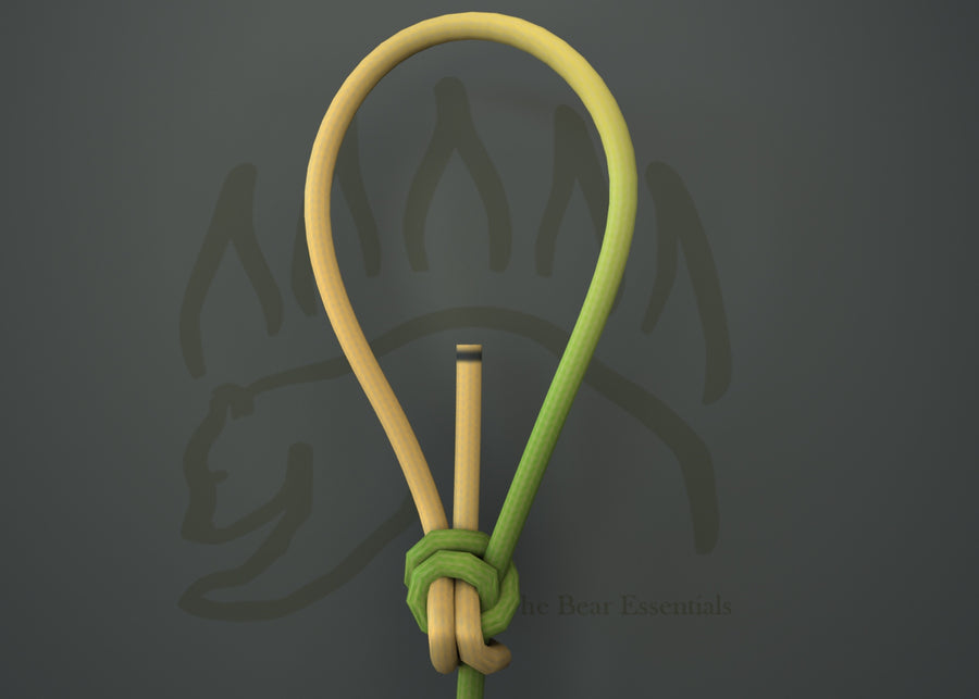 How to Tie the Water Bowline in 3D