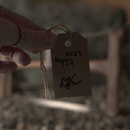 Bucksaw  937 - The Bear Essentials Outdoors Co., , ,