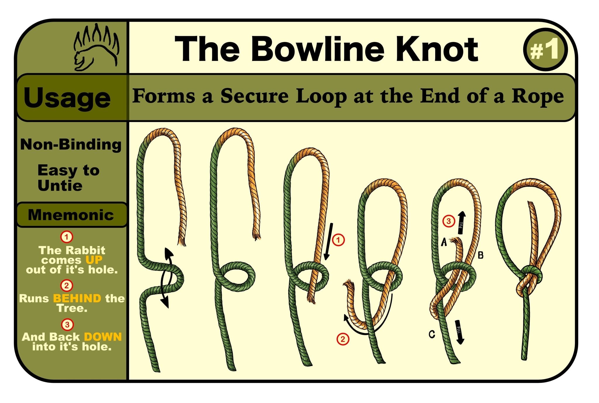 Knot Tying KIT - by The Bear Essentials - 10 Best Camping Knots