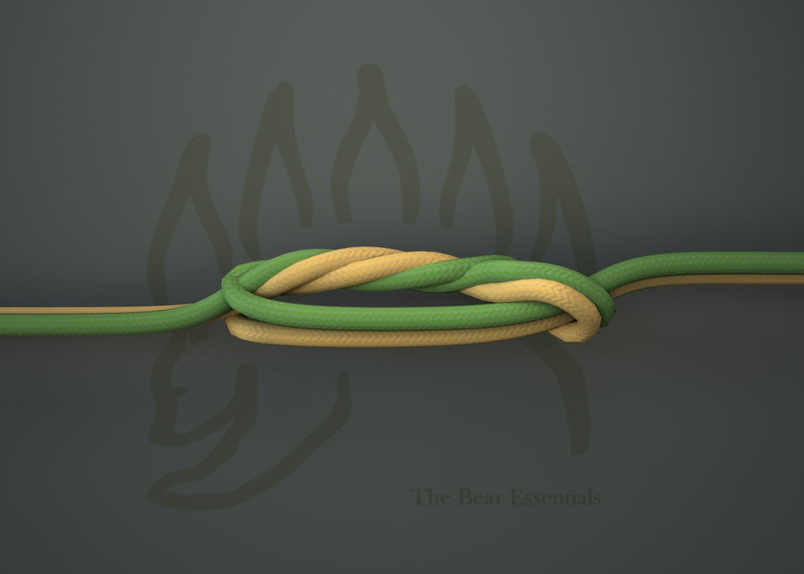 How to Tie the Seagur Knot in 3D