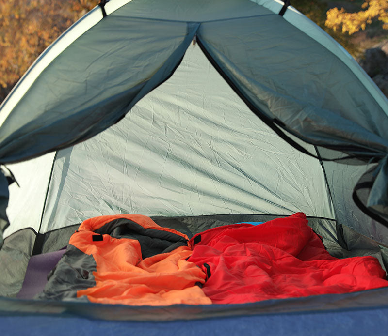 Sleep and Shelter
