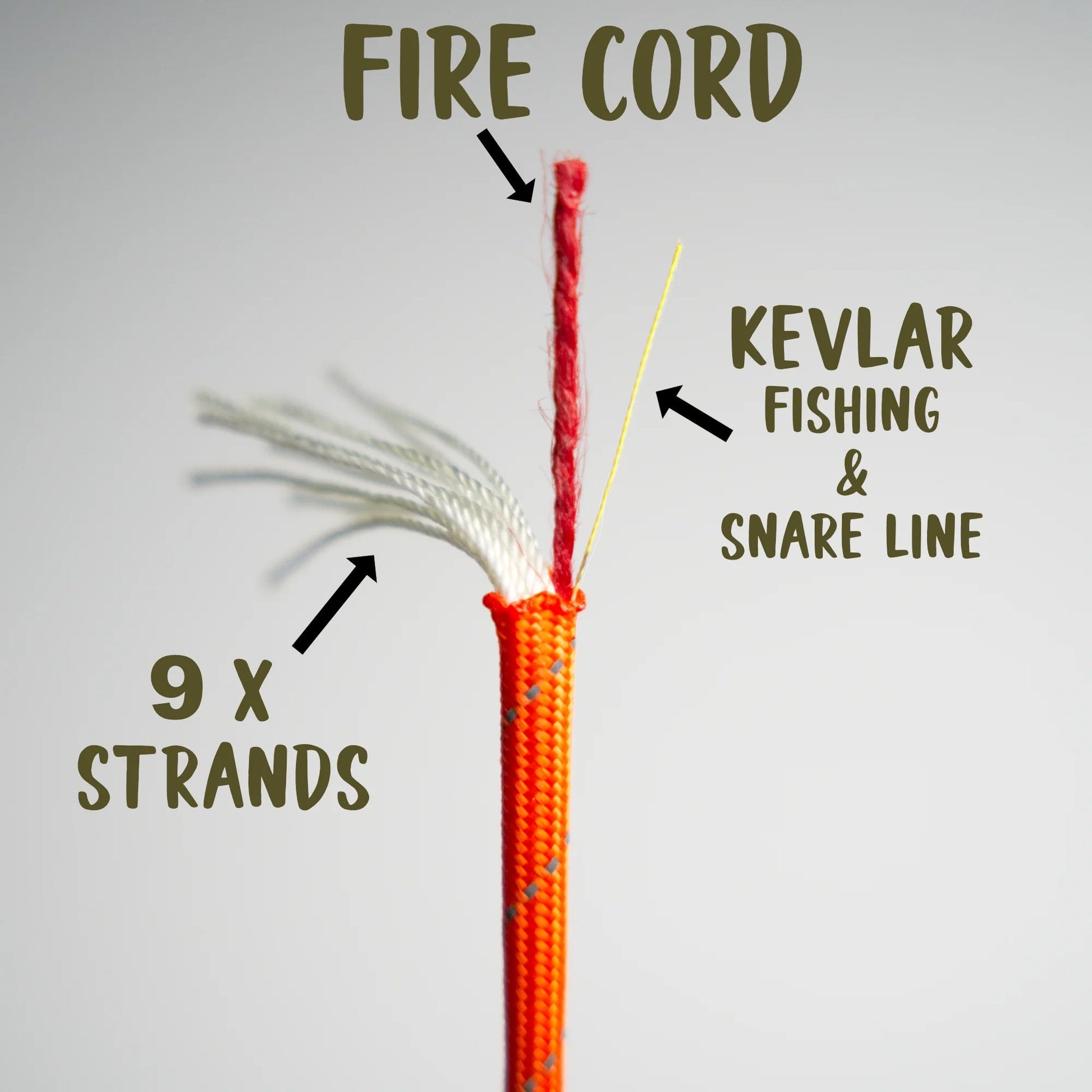 Survival Paracord - 750LBS - (100FT) - The Bear Essentials Outdoors Co., , ,