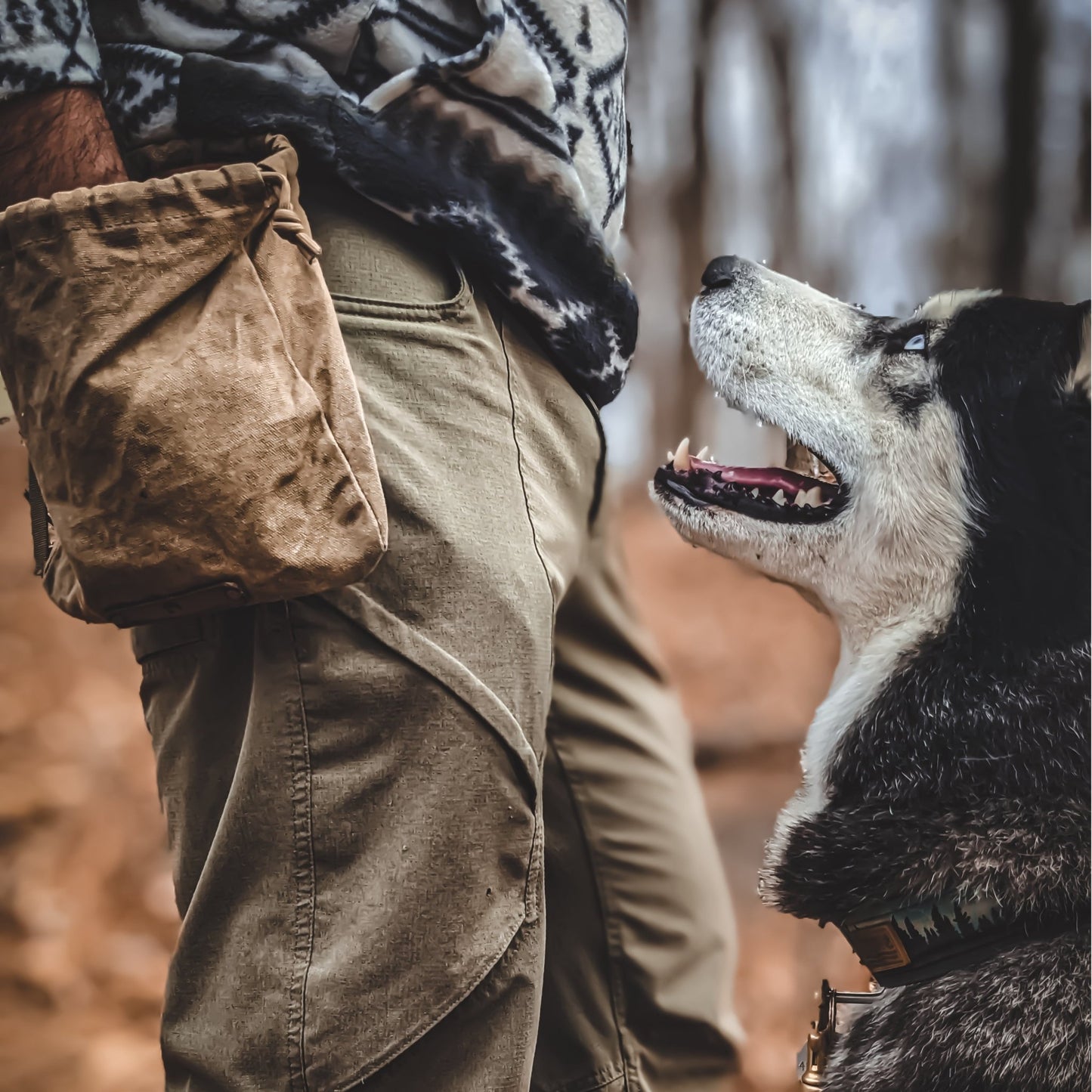 Pack Pouch - (Axe Holder / Canoe Bag) - The Bear Essentials Outdoors Co., Standard, OD Green, Snaps